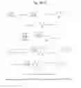 Fig. 09 - Human iNKT cell activation using glycolipids