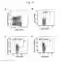 Fig. 32 - Human iNKT cell activation using glycolipids