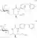 Fig. 53 - Human iNKT cell activation using glycolipids