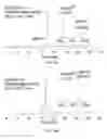Fig. 06 - Solid phase peptides synthesis processes and associated systems