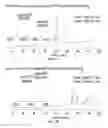 Fig. 08 - Solid phase peptides synthesis processes and associated systems