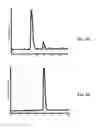 Fig. 10 - Solid phase peptides synthesis processes and associated systems