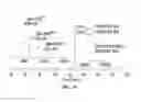 Fig. 13 - Solid phase peptides synthesis processes and associated systems