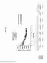 Fig. 06 - Peptide Inhibitors of Sodium Channels