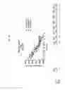 Fig. 15 - Peptide Inhibitors of Sodium Channels
