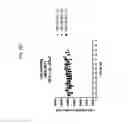 Fig. 19 - Peptide Inhibitors of Sodium Channels