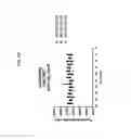 Fig. 20 - Peptide Inhibitors of Sodium Channels