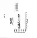 Fig. 21 - Peptide Inhibitors of Sodium Channels