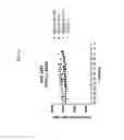 Fig. 26 - Peptide Inhibitors of Sodium Channels