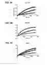 Fig. 06 - Stabilized soluble pre-fusion RSV F polypeptides