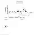 Fig. 11 - Stabilized soluble pre-fusion RSV F polypeptides