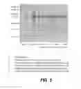 Fig. 06 - Expression systems and associated methods