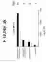 Fig. 40 - Codon optimized IL-15 and IL-15R-alpha genes for expression in mammalian cells