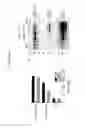 Fig. 46 - Codon optimized IL-15 and IL-15R-alpha genes for expression in mammalian cells