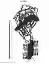 Fig. 06 - Monomeric recombinant MHC molecules useful for manipulation of antigen-specific T-cells