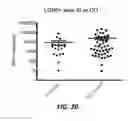 Fig. 22 - ANTI-LGR5 ANTIBODIES AND IMMUNOCONJUGATES