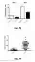 Fig. 24 - ANTI-LGR5 ANTIBODIES AND IMMUNOCONJUGATES