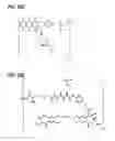 Fig. 37 - ANTI-LGR5 ANTIBODIES AND IMMUNOCONJUGATES