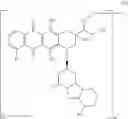 Fig. 43 - ANTI-LGR5 ANTIBODIES AND IMMUNOCONJUGATES