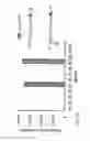 Fig. 04 - Compositions and methods for treatment and detection of cancers