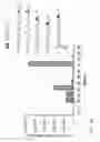 Fig. 05 - Compositions and methods for treatment and detection of cancers