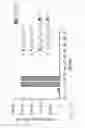 Fig. 11 - Compositions and methods for treatment and detection of cancers