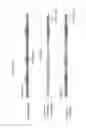 Fig. 04 - Immunoglobulin variable region cassette exchange