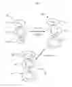 Fig. 02 - Hexahydrotriazine, dithiazine, and thioether functionalized materials