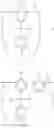 Fig. 04 - Low molecular weight polyphenylene ether prepared without solvents
