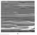 Fig. 04 - Polymeric material with a multimodal pore size distribution