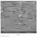 Fig. 07 - Polymeric material with a multimodal pore size distribution