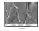 Fig. 03 - Nanodiamond containing composite and a method for producing the same