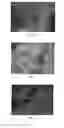 Fig. 03 - Efficient polymer composites based on natural wool