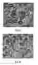 Fig. 04 - Inkjet printing method