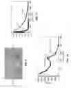 Fig. 09 - Plastic scintillators with high loading of one or more metal carboxylates