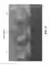 Fig. 13 - Plastic scintillators with high loading of one or more metal carboxylates