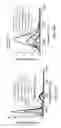 Fig. 28 - Photoluminescent compounds