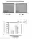 Fig. 21 - Methods For The Cryopreservation Of Mammalian Cells