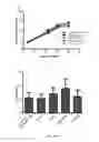 Fig. 11 - Generation of keratinocytes from pluripotent stem cells and maintenance of keratinocyte cultures