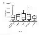 Fig. 12 - Generation of keratinocytes from pluripotent stem cells and maintenance of keratinocyte cultures