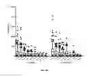 Fig. 19 - Generation of keratinocytes from pluripotent stem cells and maintenance of keratinocyte cultures