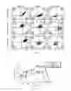Fig. 06 - Identification and isolation of human corneal endothelial cells (HCECS)