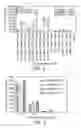 Fig. 03 - Dendritic Cell Compositions and Methods