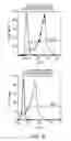 Fig. 06 - Dendritic Cell Compositions and Methods