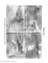 Fig. 104 - Isolation and cultivation of stem/progenitor cells from the amniotic membrane of umbilical cord and uses of cells differentiated therefrom