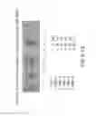 Fig. 32 - Isolation and cultivation of stem/progenitor cells from the amniotic membrane of umbilical cord and uses of cells differentiated therefrom