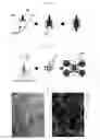 Fig. 15 - Device and method of 3-dimensionally generating in vitro blood vessels