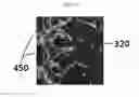 Fig. 16 - Device and method of 3-dimensionally generating in vitro blood vessels