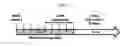 Fig. 02 - ENDOCARDIUM-DERIVED ADULT STEM CELLS AND METHOD FOR PRODUCING SAME