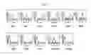 Fig. 04 - ENDOCARDIUM-DERIVED ADULT STEM CELLS AND METHOD FOR PRODUCING SAME
